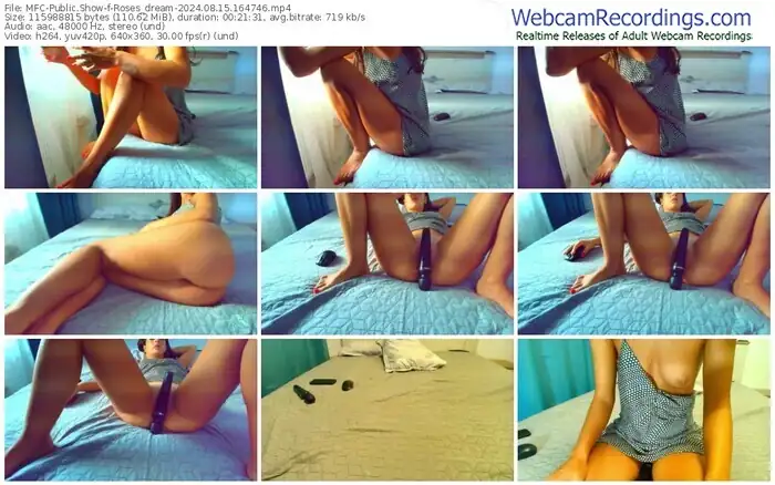 2024/08/15/mfc-roses_dream-16-47-46