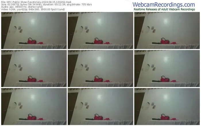 2024/08/15/mfc-exoticlulu-10-32-02