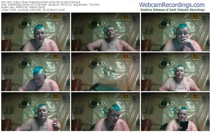 2024/08/16/mfc-ajthepunk420-09-11-58