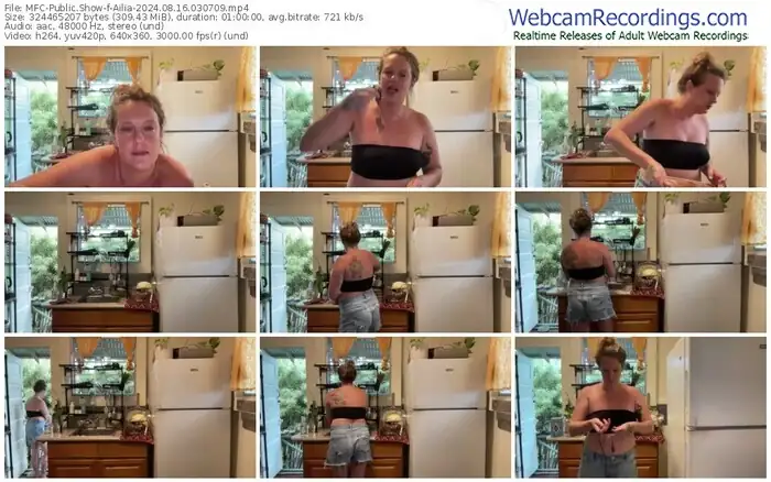 2024/08/16/mfc-ailia-03-07-09