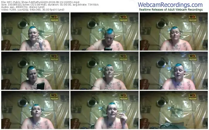 2024/08/19/mfc-ajthepunk420-10-26-51