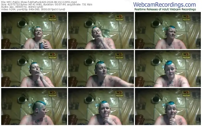 2024/08/19/mfc-ajthepunk420-11-29-51