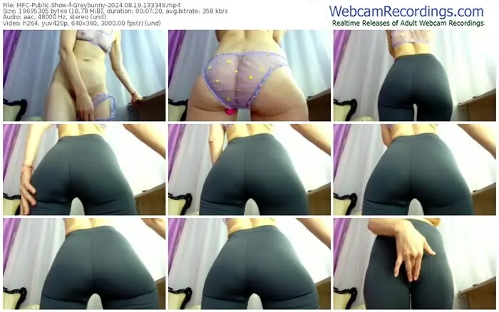 2024/08/19/mfc-greybunny-13-33-49