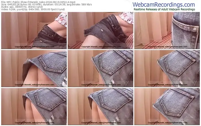 2024/08/19/mfc-maneki_neko-06-51-14