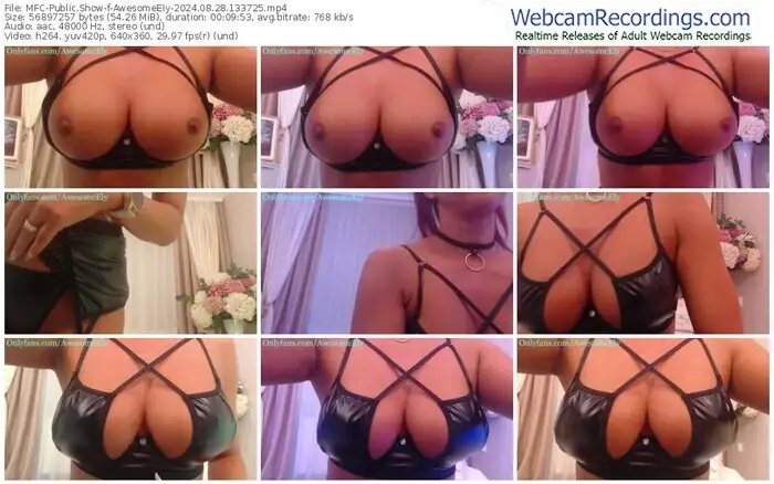 2024/08/28/mfc-awesomeely-13-37-25