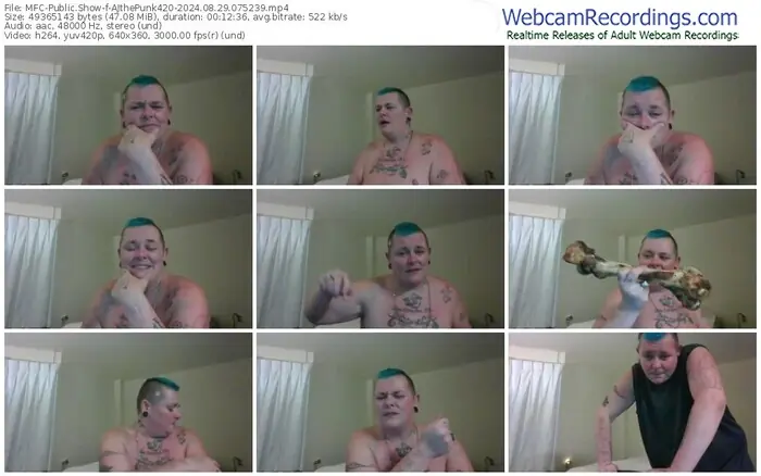 2024/08/29/mfc-ajthepunk420-07-52-39