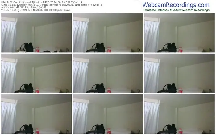 2024/08/29/mfc-ajthepunk420-09-25-56