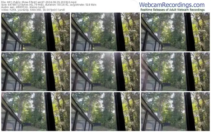 2024/08/29/mfc-testcam97-20-33-16