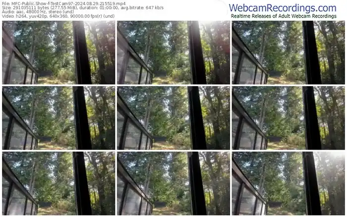 2024/08/29/mfc-testcam97-21-55-19