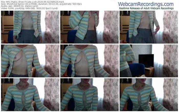2024/09/02/mfc-cute_lion-08-46-29