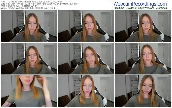 2024/09/02/mfc-robosasha-12-28-19