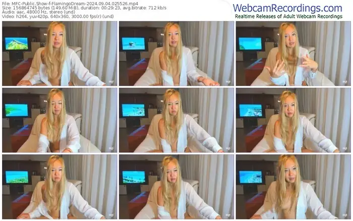 2024/09/04/mfc-flamingodream-02-55-26