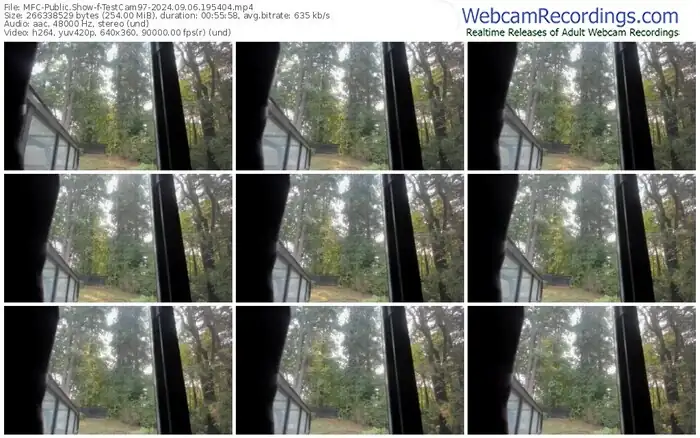 2024/09/06/mfc-testcam97-19-54-04