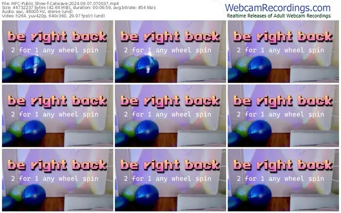 2024/09/07/mfc-catwave-07-00-37