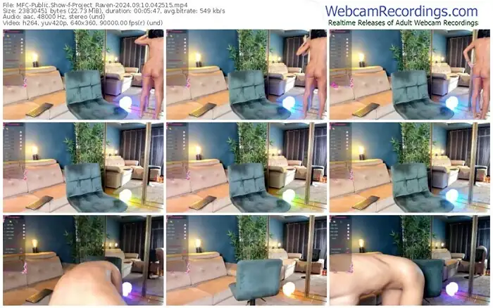 2024/09/10/mfc-project_raven-04-25-15