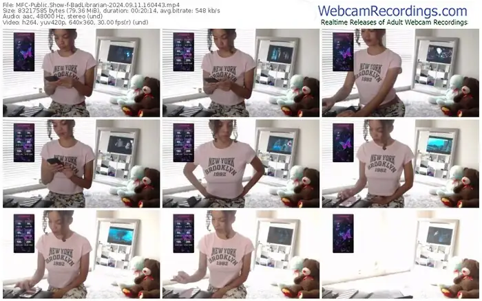 2024/09/11/mfc-badlibrarian-16-04-43