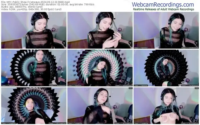 2024/09/12/mfc-catwave-01-38-48