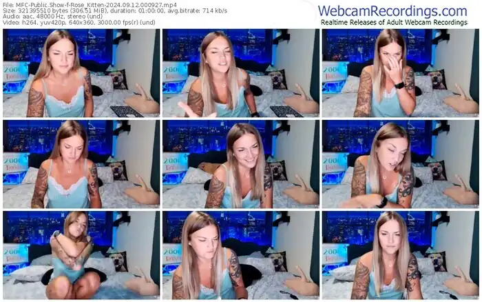 2024/09/12/mfc-rose_kitten-00-09-27