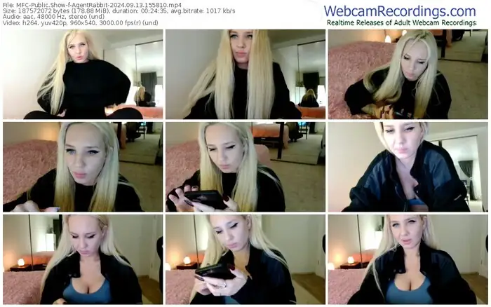 2024/09/13/mfc-agentrabbit-15-58-10