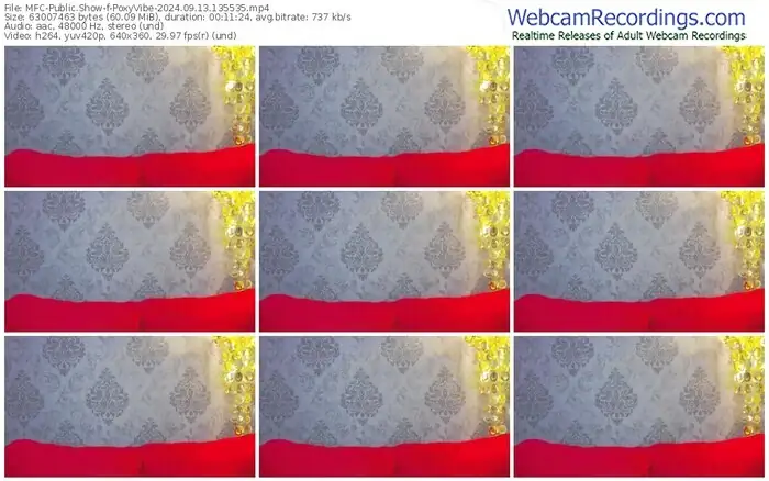 2024/09/13/mfc-poxyvibe-13-55-35