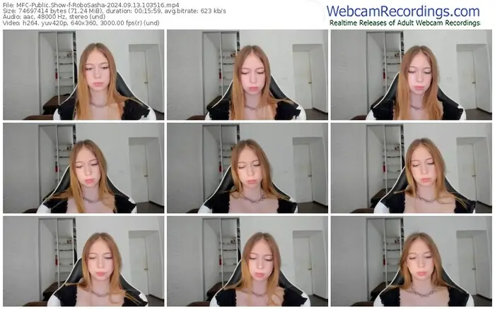 2024/09/13/mfc-robosasha-10-35-16