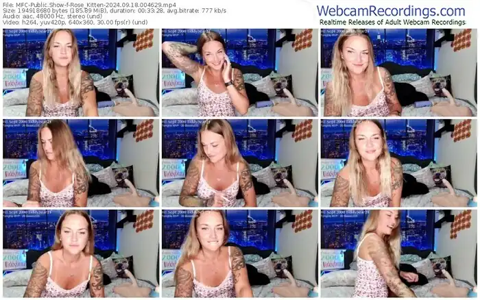 2024/09/18/mfc-rose_kitten-00-46-29