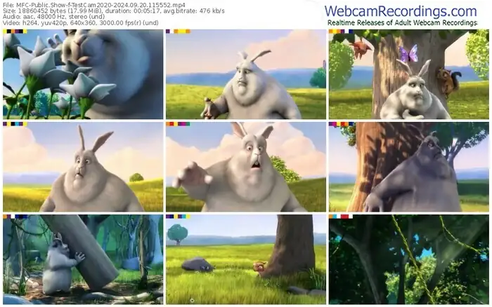 2024/09/20/mfc-testcam2020-11-55-52