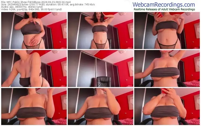 2024/09/23/mfc-wildevee-09-01-34