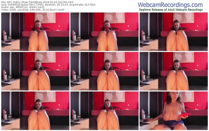 2024/09/24/mfc-wildevee-10-27-45