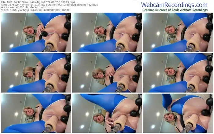 2024/09/25/mfc-allietiger-13-29-19