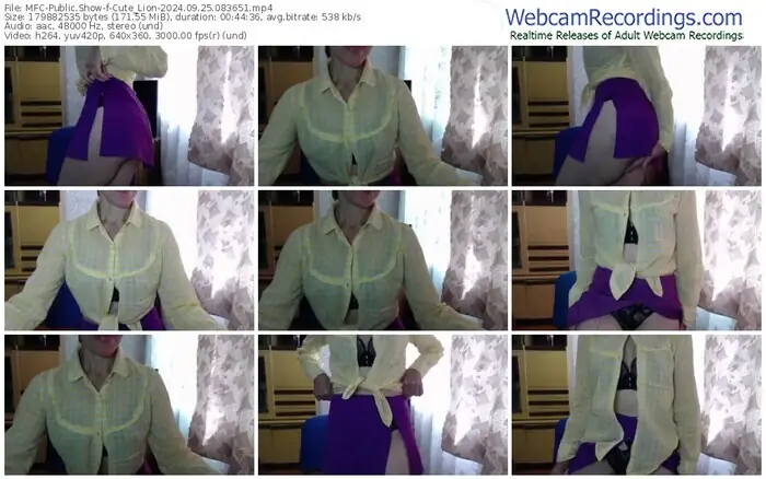 2024/09/25/mfc-cute_lion-08-36-51