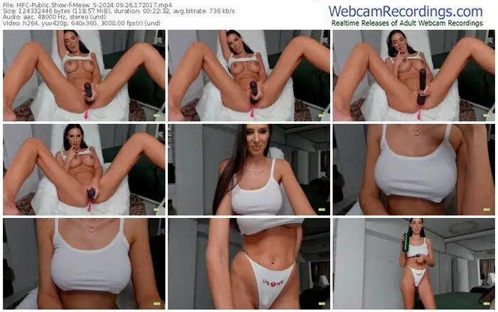 2024/09/26/mfc-meow_s-17-20-17