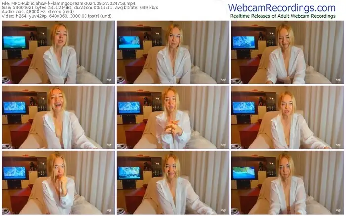 2024/09/27/mfc-flamingodream-02-47-53