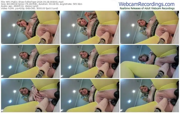 2024/09/28/mfc-allietiger-09-30-41