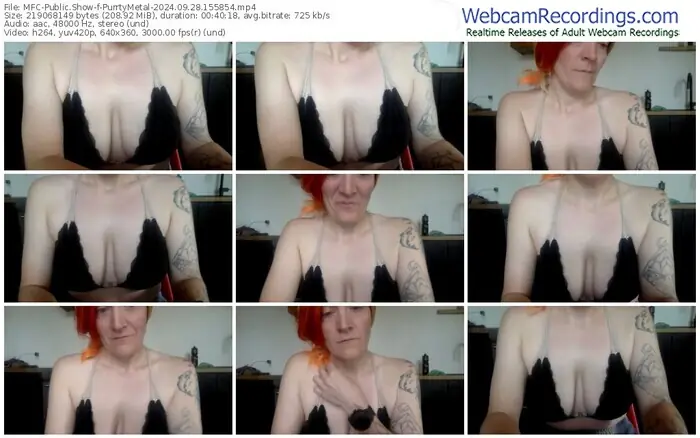 2024/09/28/mfc-purrtymetal-15-58-54