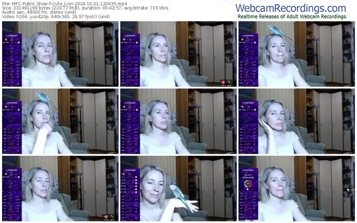 2024/10/01/mfc-cute_lion-12-06-35