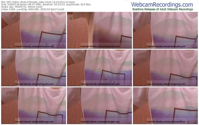 2024/10/04/mfc-maneki_neko-05-11-23