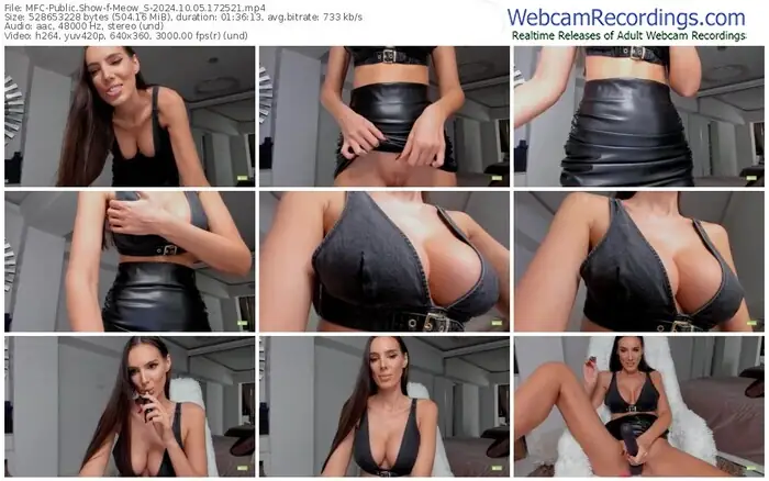 2024/10/05/mfc-meow_s-17-25-21