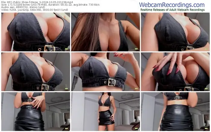 2024/10/05/mfc-meow_s-22-12-38