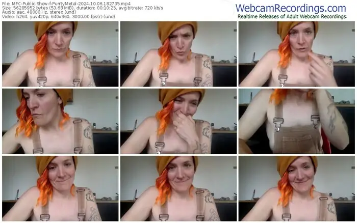 2024/10/06/mfc-purrtymetal-18-27-35