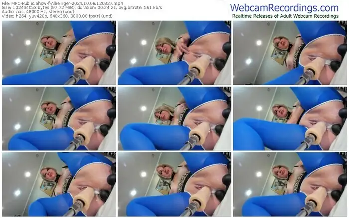 2024/10/08/mfc-allietiger-12-03-27