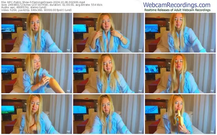 2024/10/08/mfc-flamingodream-00-29-00