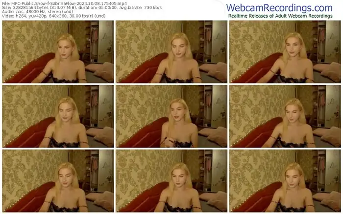 2024/10/08/mfc-sabrinaflow-17-54-05