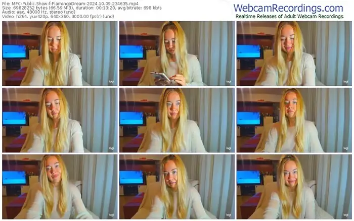 2024/10/09/mfc-flamingodream-23-46-35