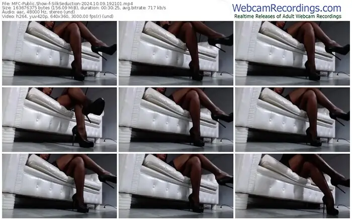 2024/10/09/mfc-silkseduction-19-21-01