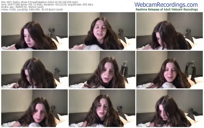 2024/10/09/mfc-snowflakebun-23-12-09