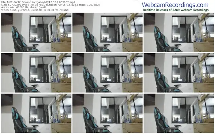 2024/10/11/mfc-kattgalle-00-39-02