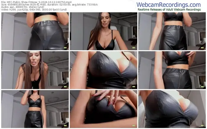 2024/10/12/mfc-meow_s-16-07-50