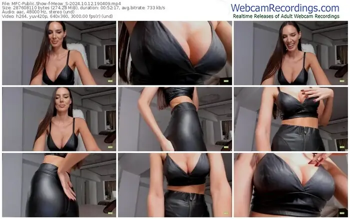 2024/10/12/mfc-meow_s-19-04-09