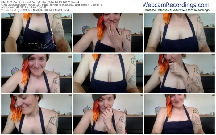 2024/10/13/mfc-purrtymetal-18-23-16